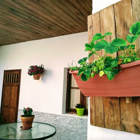 Cuevas Uropia Casa rural Graena